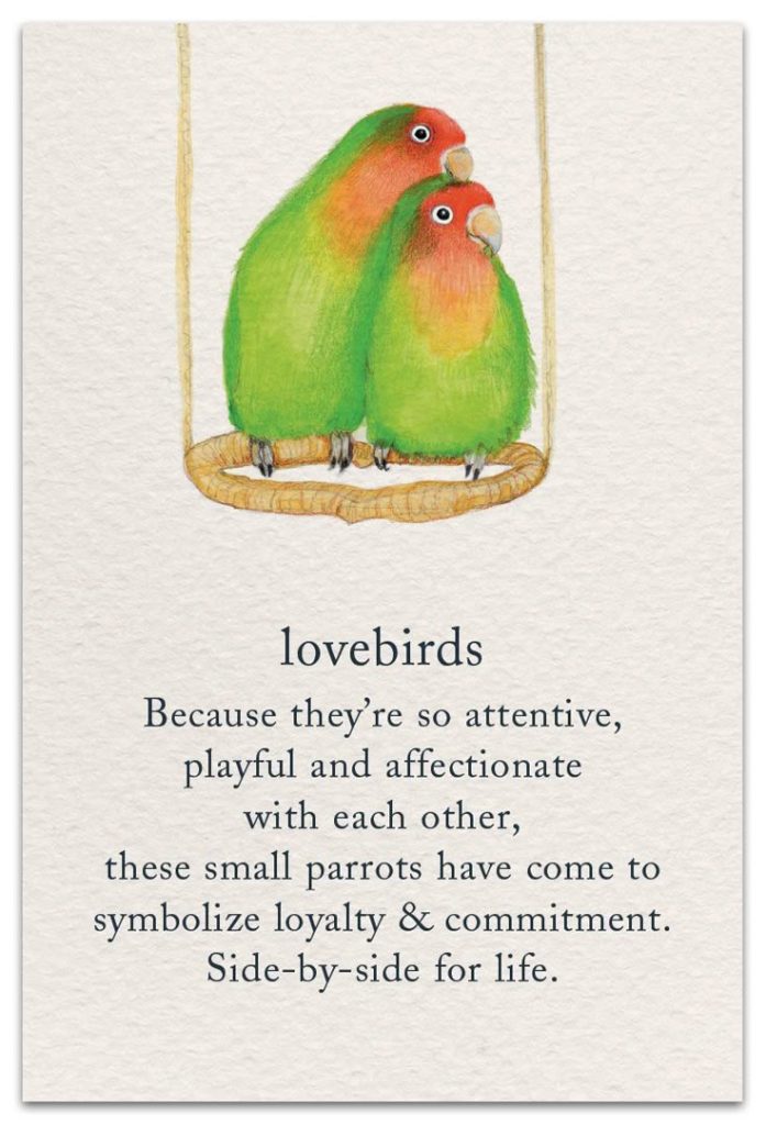 What Does a Lovebird Bird Symbolize?